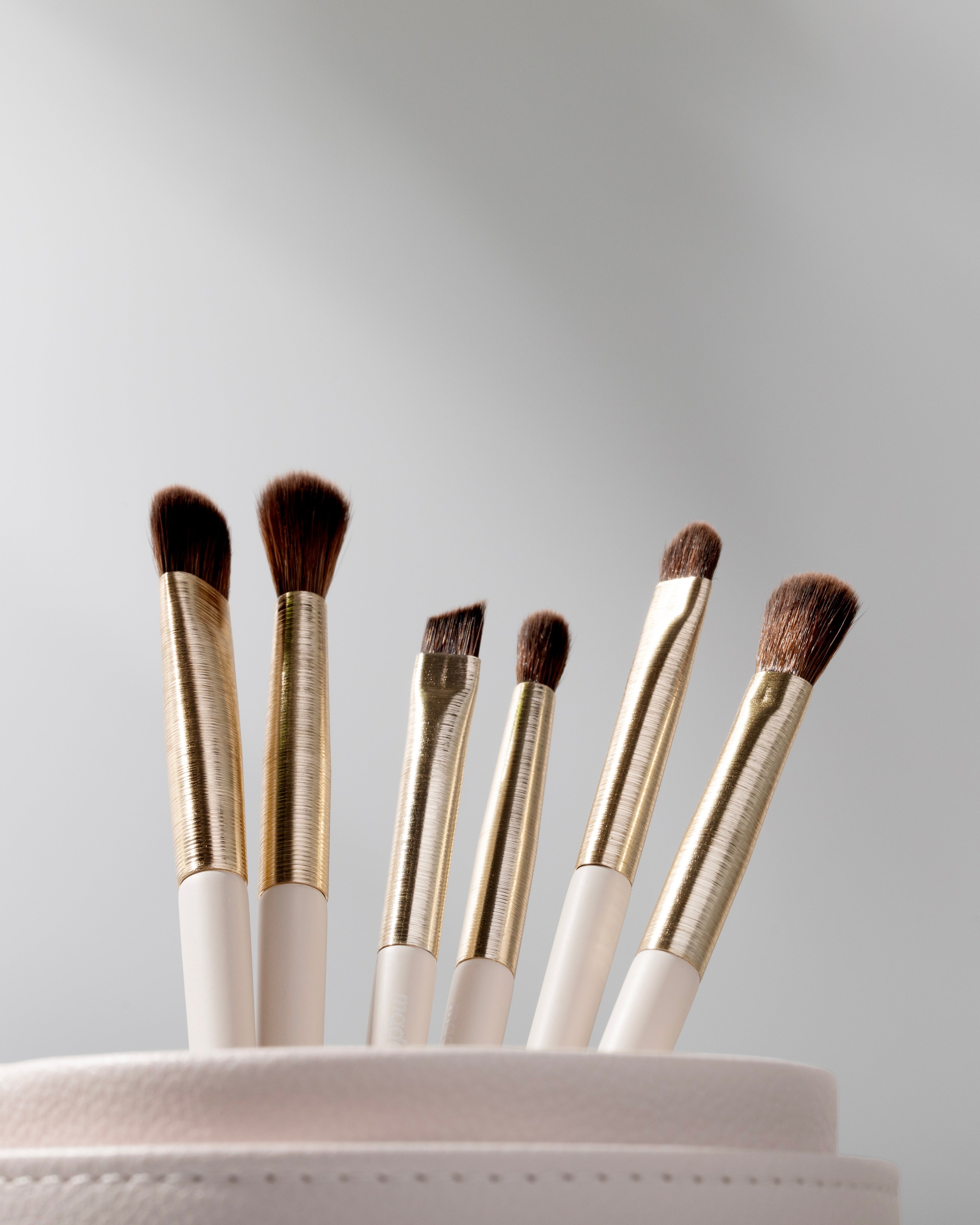 THE BRUSH KIT